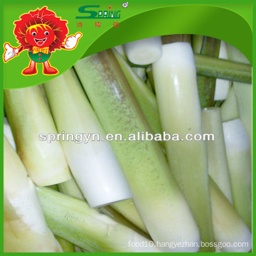 whole bamboo shoot in pouches Vacuum boiled water